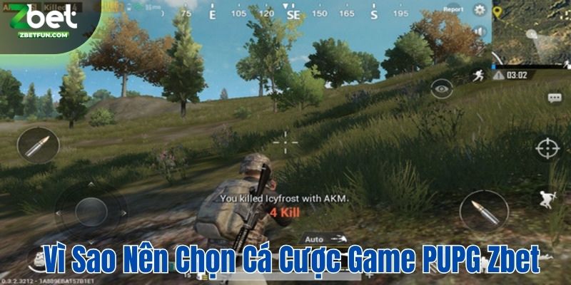 Cá cược game PUPG tại Zbet có gì cuốn hút người chơi?