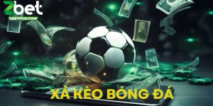 dd-xa-keo-bong-da